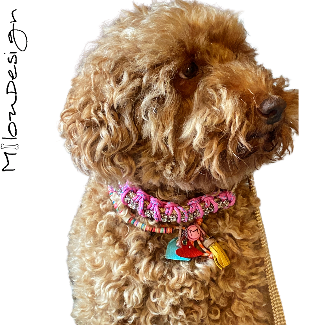 De Paracord Snelle Uitlater, Honden Halsband en Riem in één!( PS9 24cm t/m 30cm)