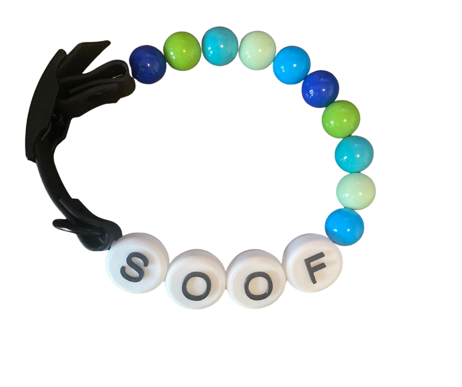 BFF HONDENBAND ORIGINAL