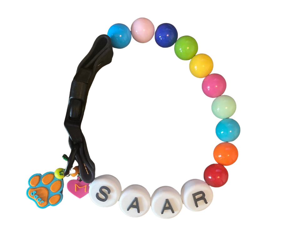 BFF HONDENBAND ORIGINAL