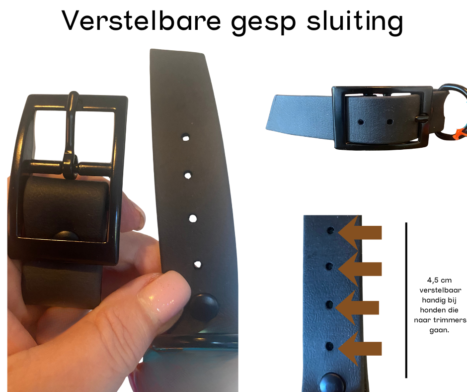 BFF HONDENBAND ORIGINAL